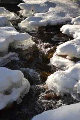 icy brook